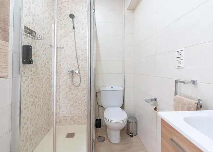 Serendipia 内尔哈